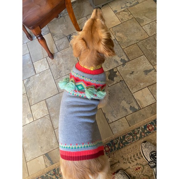 Gray Dog Sweater with Green Fringe, Size L, NWOT - Picture 3 of 4